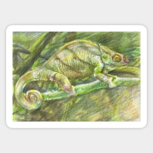 chameleon. color pencil Sticker